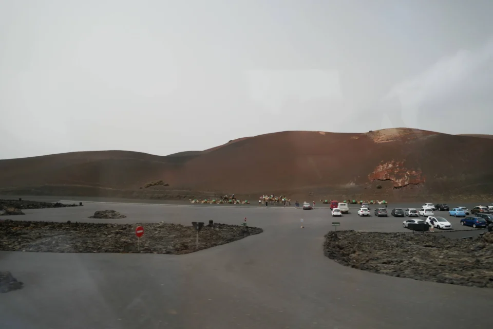 P1000863 960x640